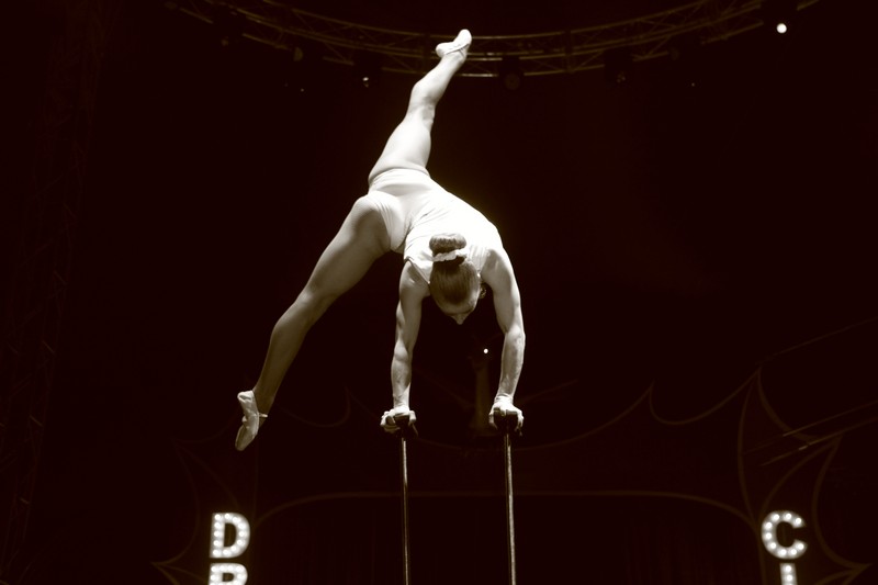 Opening of Dragon Circus